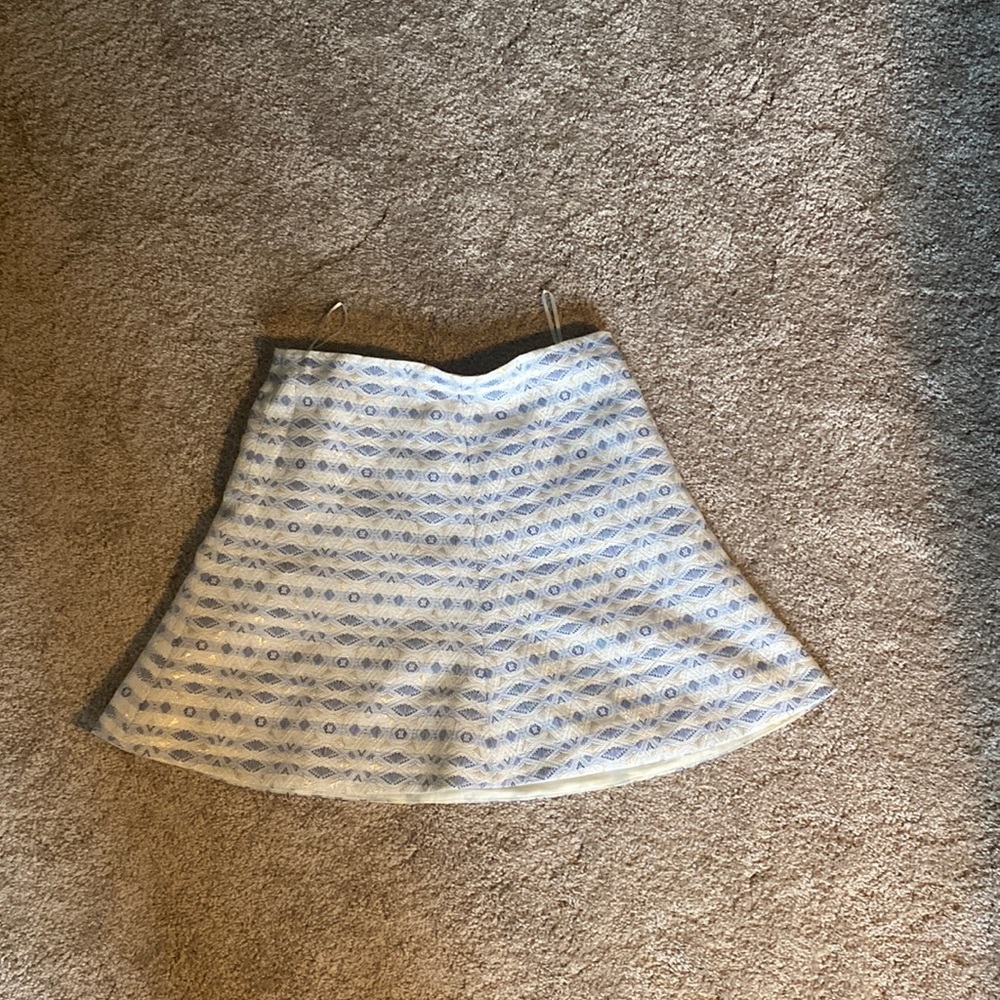 J Crew mini skirt, 4